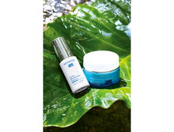 陜西馨曼、臺(tái)灣妮頓絲與德國(guó)DA 化妝品市場(chǎng)的多元風(fēng)采